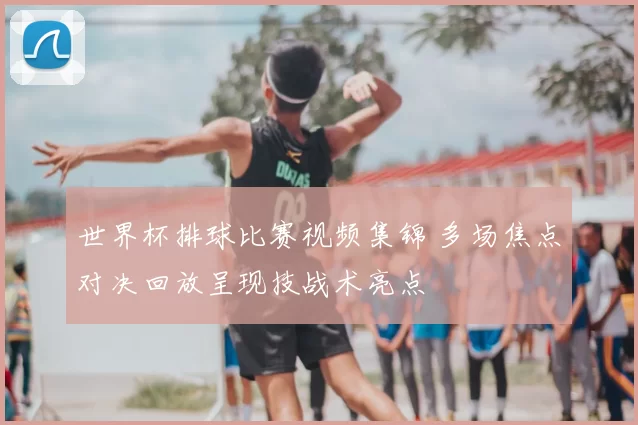 世界杯排球比赛视频集锦 多场焦点对决回放呈现技战术亮点