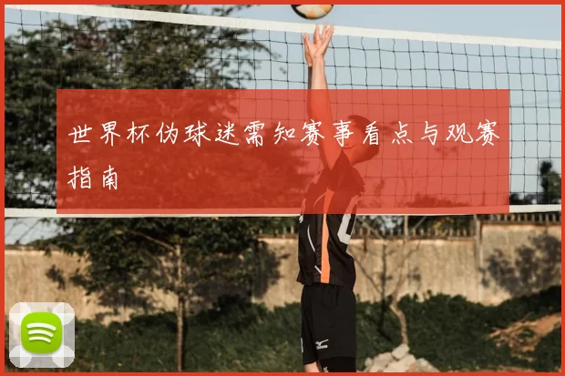 世界杯伪球迷需知赛事看点与观赛指南