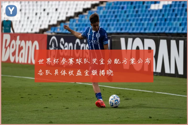 世界杯参赛球队奖金分配方案公布各队具体收益金额揭晓