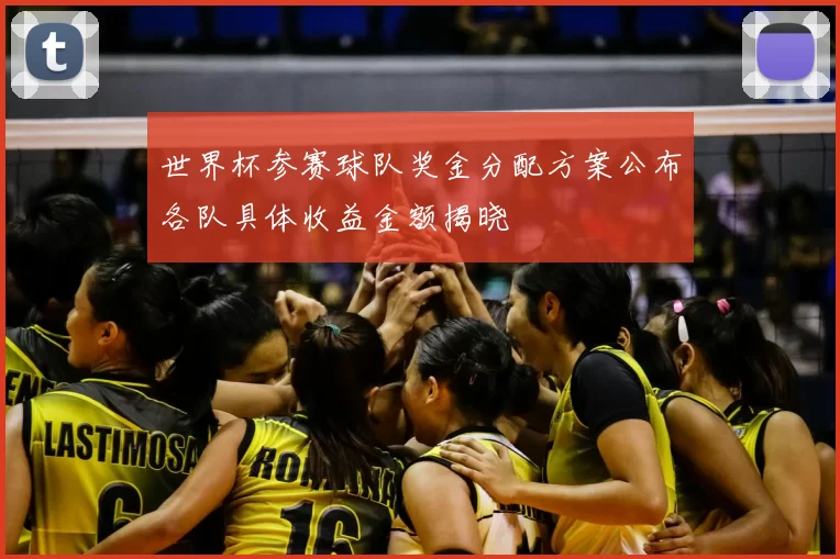 世界杯参赛球队奖金分配方案公布各队具体收益金额揭晓