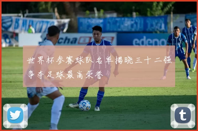 世界杯参赛球队名单揭晓三十二强争夺足球最高荣誉