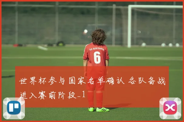 世界杯参与国家名单确认 各队备战进入赛前阶段_1